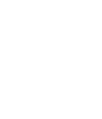 SSFBiH